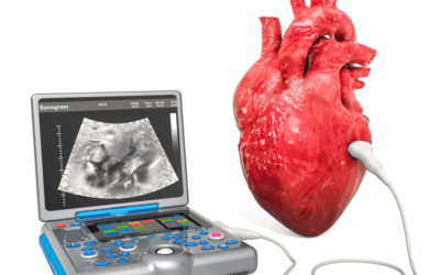 Getting an “All Clear” So Far